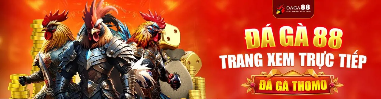 Sân đá gà trực tuyến sôi động tại dabet live